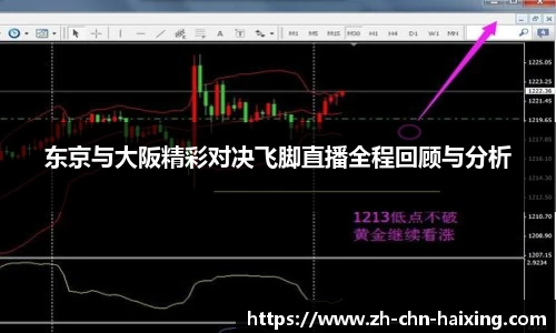 东京与大阪精彩对决飞脚直播全程回顾与分析